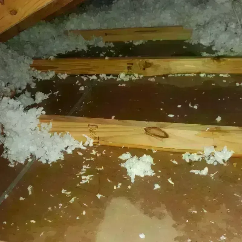 Attic Water Damage in Spurgeon, TN